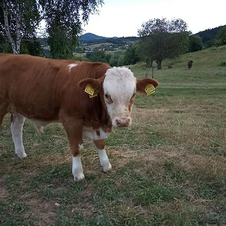 Appartement Na Vrsku