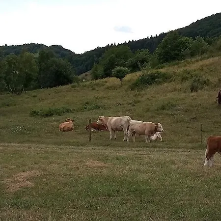 Appartement Na Vrsku